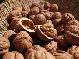 Walnuts Nuts shells