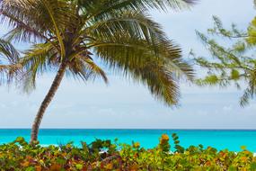 Beach Beautiful Blue