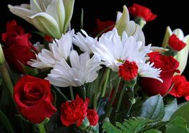 White Daisys Red Carnations