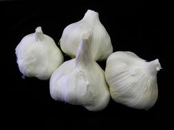 Garlic Food Vegetable