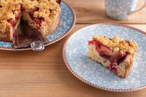 Streusel Plum Cake piece