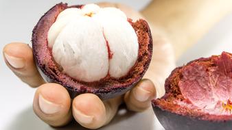 White Mangosteen Fruit