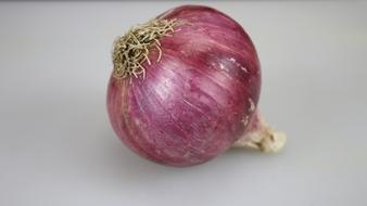 Onion Fresh Farmfresh