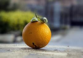 Orange Citric Fruit