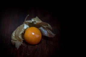 Physalis Peruviana Cape