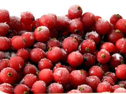 Currants Red Fruit