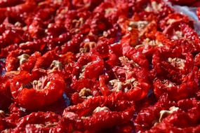 Tomatoes Dried Food