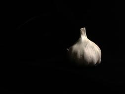 Black Low Key Garlic