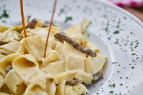 Pasta with two sticks on plate, macro