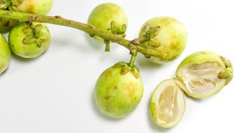 Asian Fruit Langsat Longkong