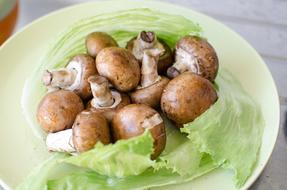 mushrooms and green cabbage