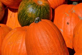 Orange Pumpkin Fruit vegetables