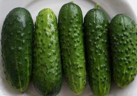 Cucumbers Vegetables Food