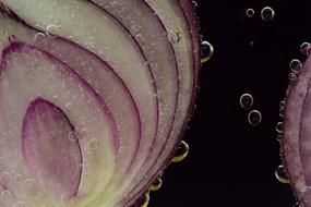 Onion Red Raw