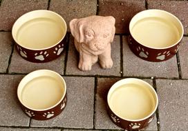 Animal Dog Bowl