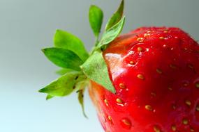 Strawberry Fruit delicious macro view