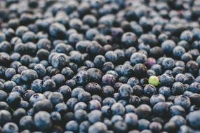 Berries Blueberries Food