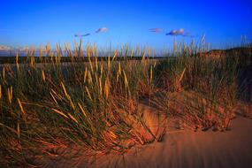 The Sand Dunes Dune Slowinski
