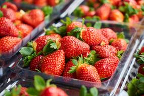 Strawberry Macro Background