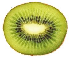 Kiwi Slice Green