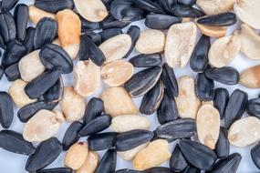 Seeds Sunflower Background
