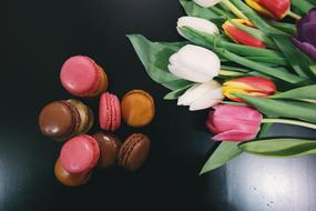 Macaroons Dessert Food
