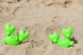 green crabs in sand