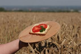 sandwich on a tray against a field