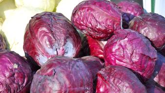 Vegetables Purple Cabbage