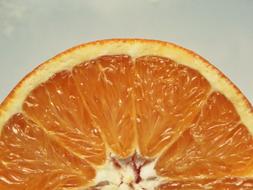 Orange Fruit Citrus