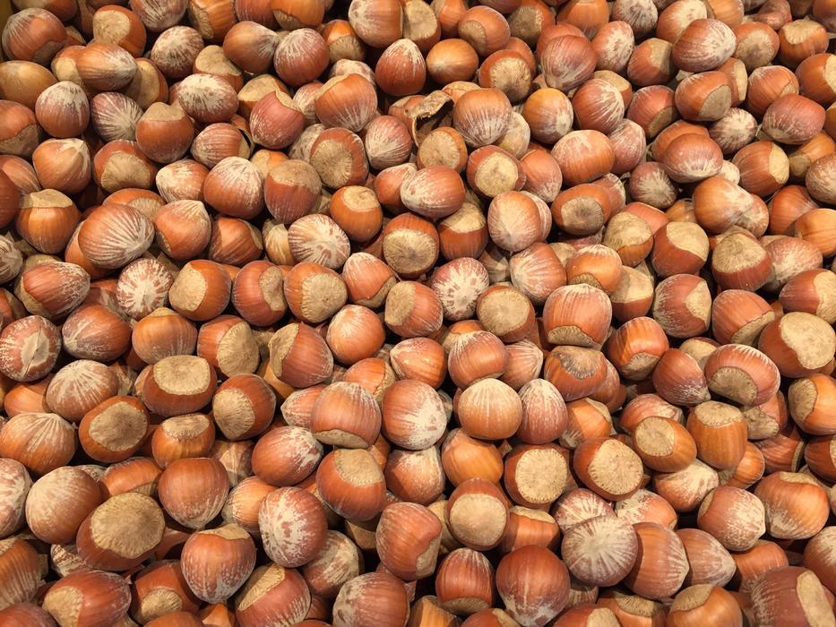 Hazelnut Nuts Food