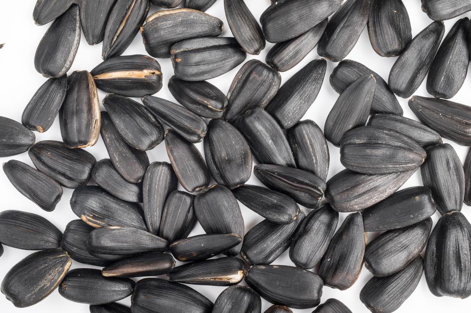 Seeds Sunflower Background