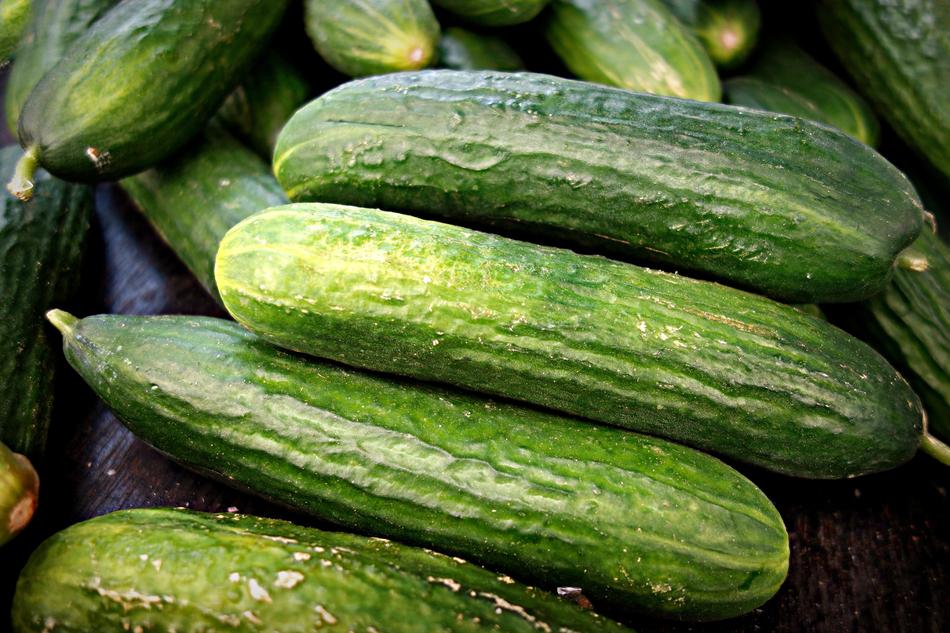 Cucumber Vegetable Fresh