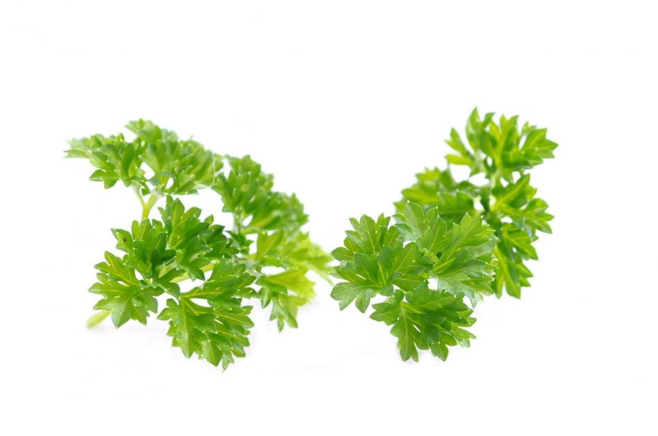 Parsley Garnish Italian