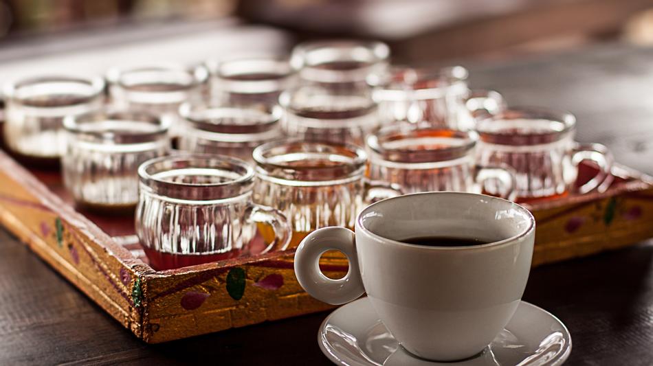 Luwak Coffee Cat