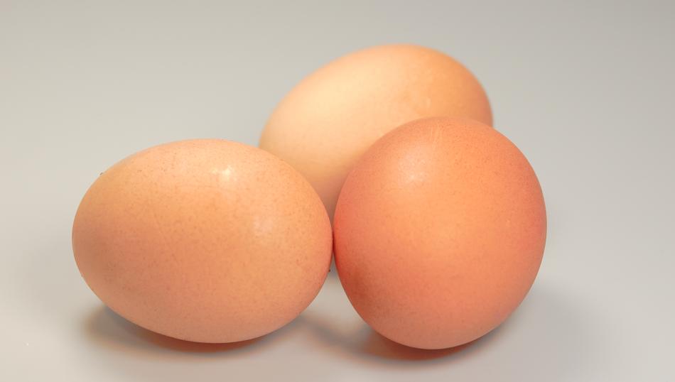 Eggs Food Round