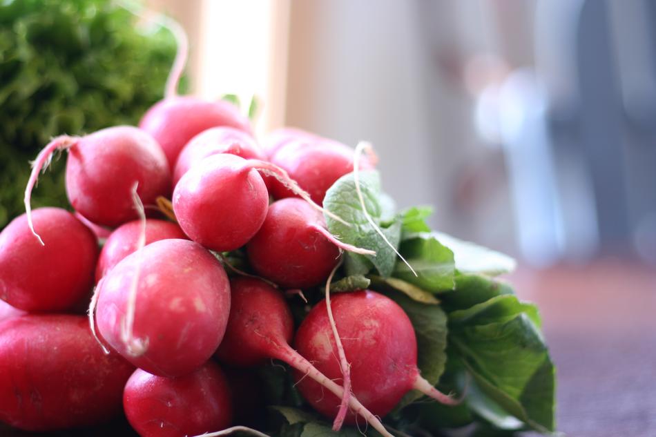 organic red radish