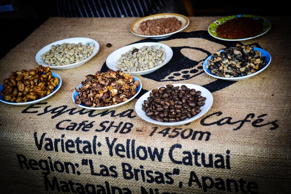Coffee Beans Fair Culture