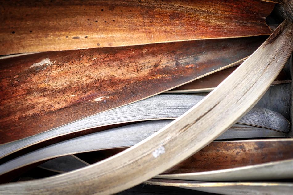 Wood Background Food
