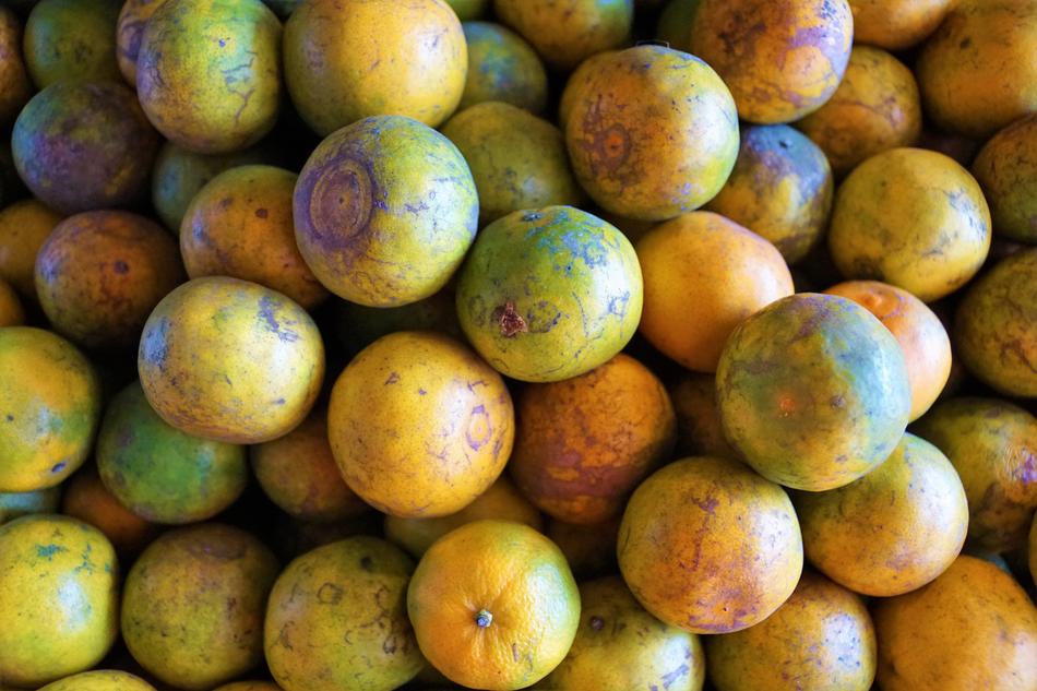 Food Fruit Tropical