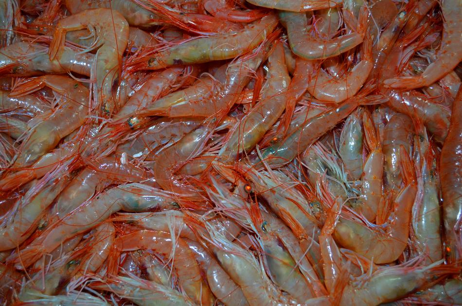 raw Shrimp Fruits Of The Sea