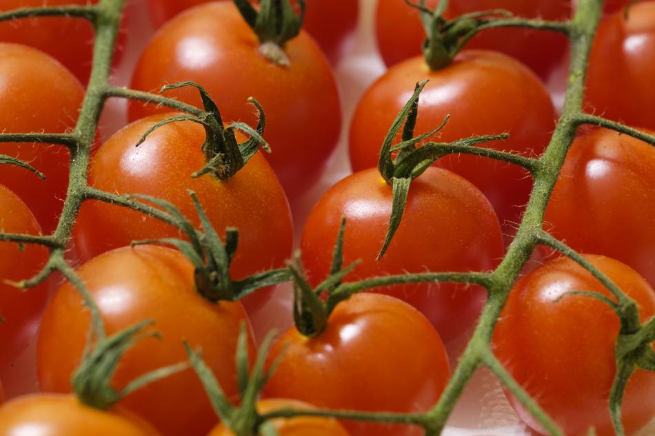 Tomatoes Vegetables Red