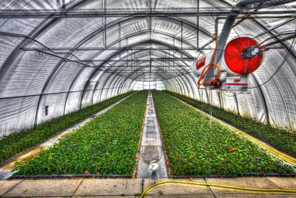 Greenhouse Slide Tunnel Crops