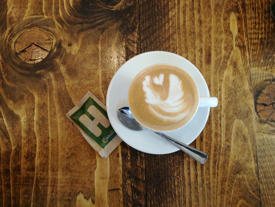 cup of cappuccino, drawing of feathers on the foam