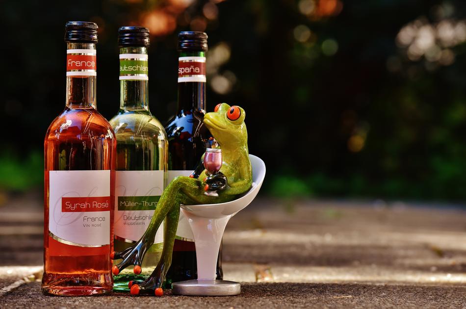Frog Wine Drink
