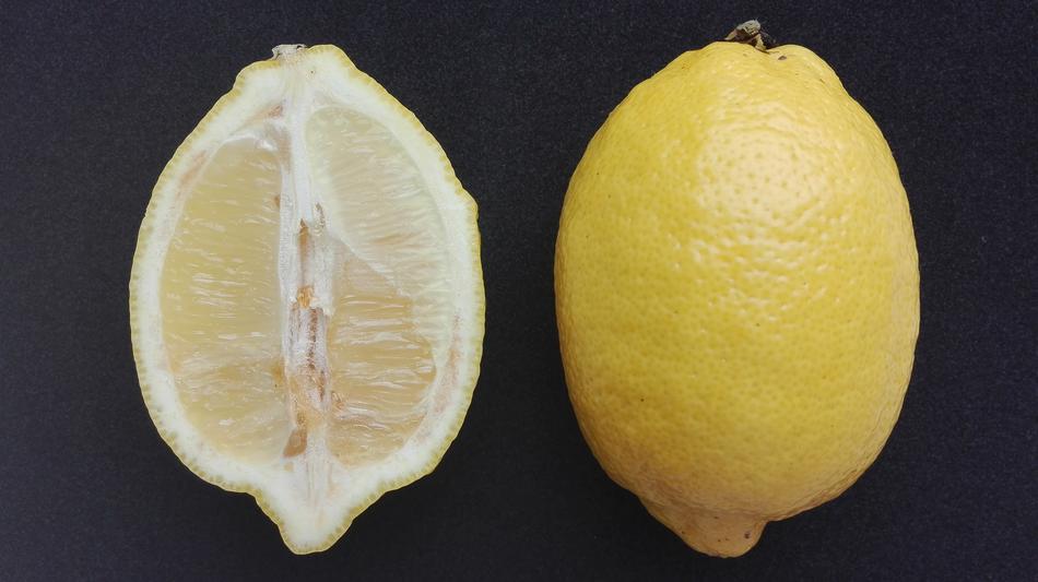 Food Citrus Lemon