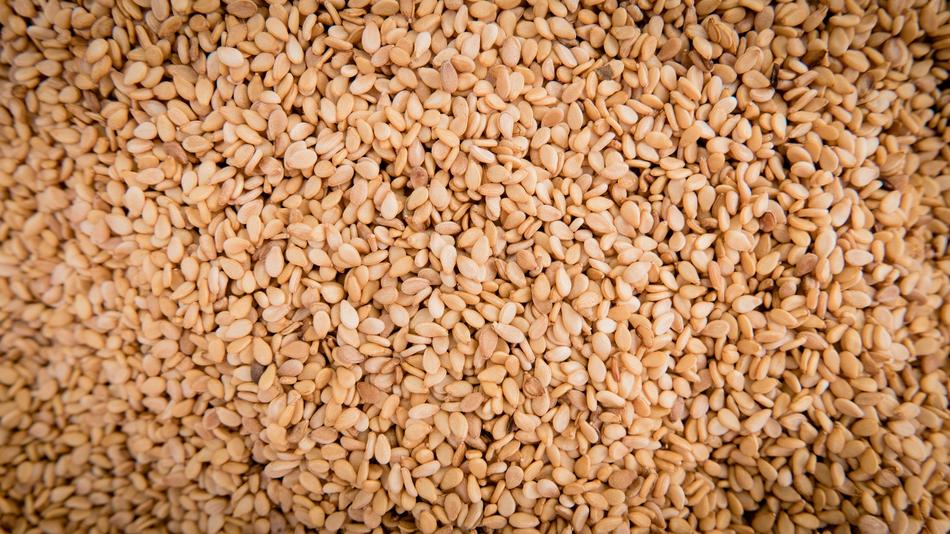 Sesame Seeds Sesamum