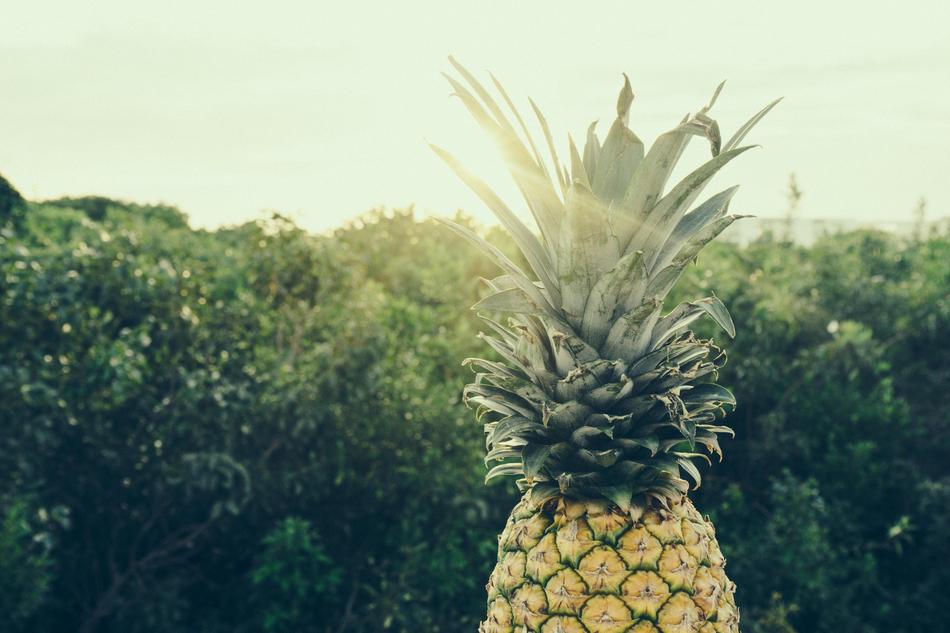 Food Fruit Nature