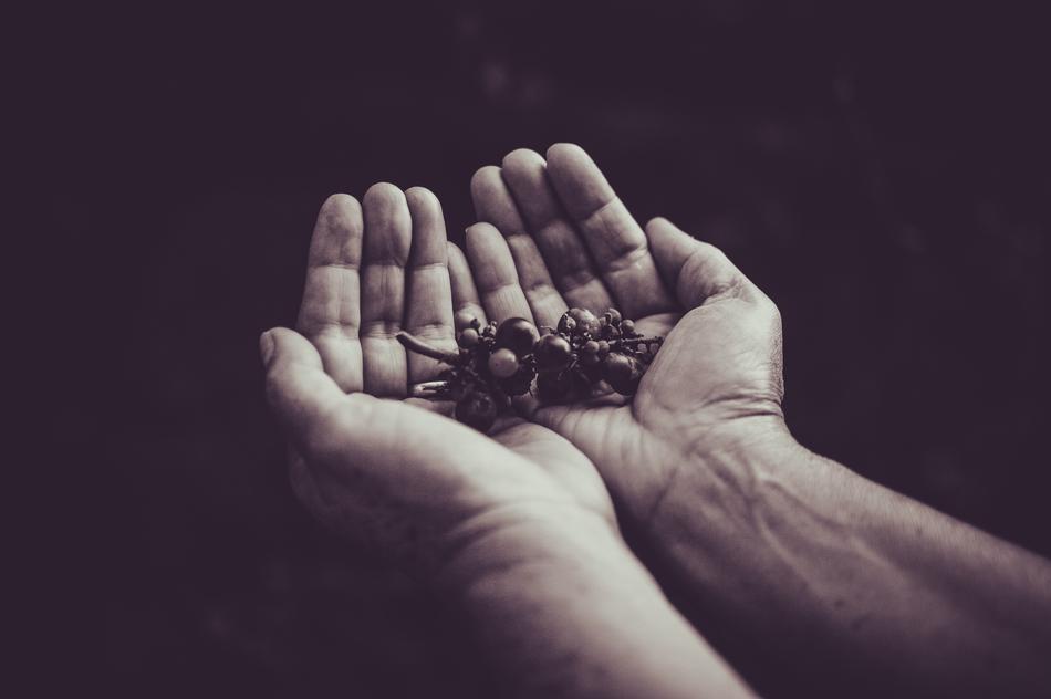 Black And White Nature Hand