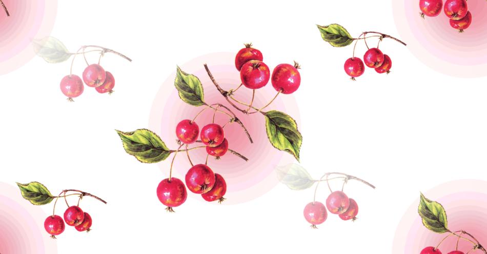 cherries fruits background